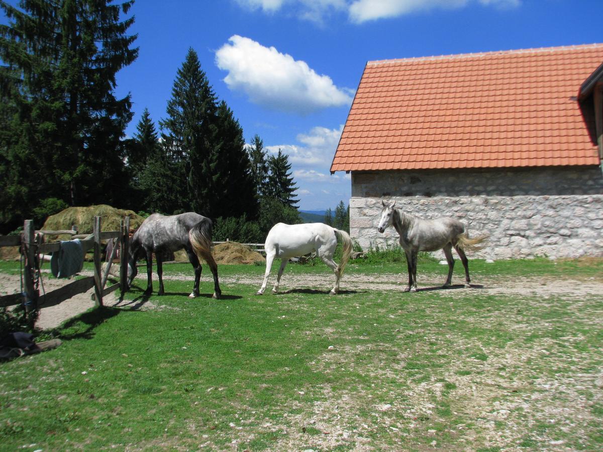 Vila Dodi Villa Bajina Basta Esterno foto