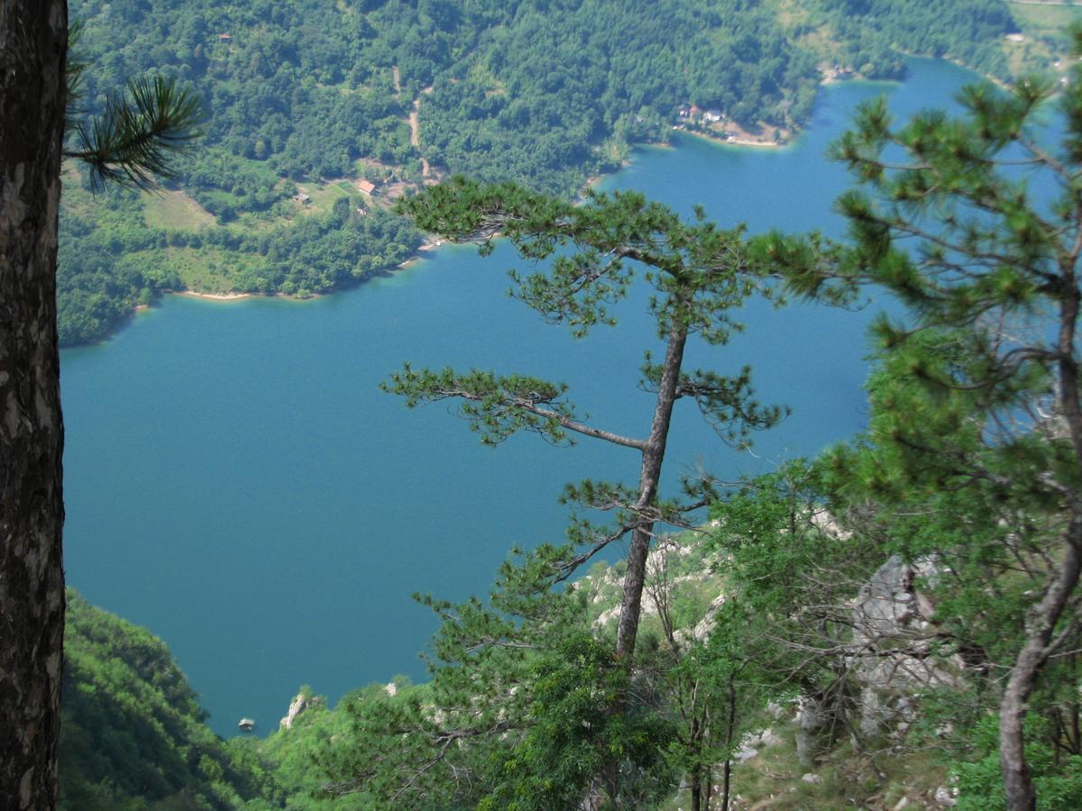 Vila Dodi Villa Bajina Basta Esterno foto