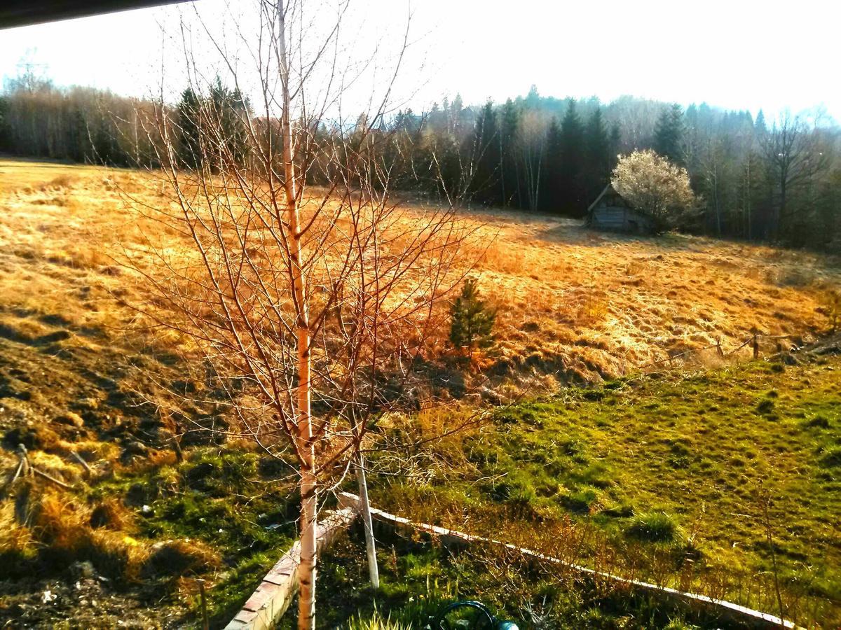 Vila Dodi Villa Bajina Basta Esterno foto