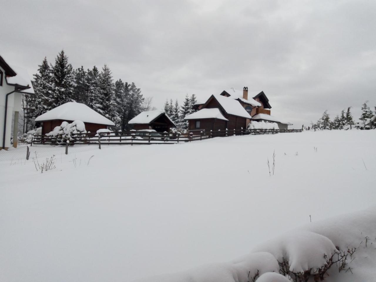 Vila Dodi Villa Bajina Basta Esterno foto